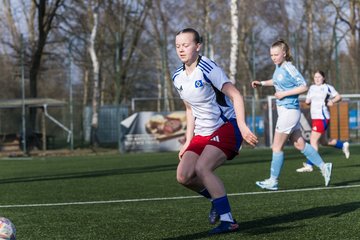 Bild 226 - F Hamburger SV 3 - Blau-Weiss 96 : Ergebnis: 5:1